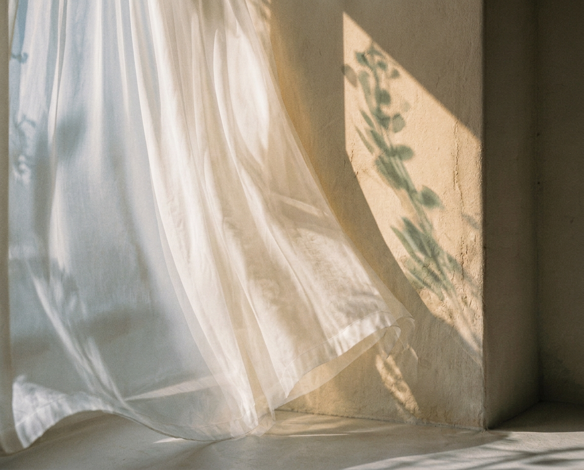 Transparenter Vorhang und Pflanzenschatten in skulpturalem Fensterlicht